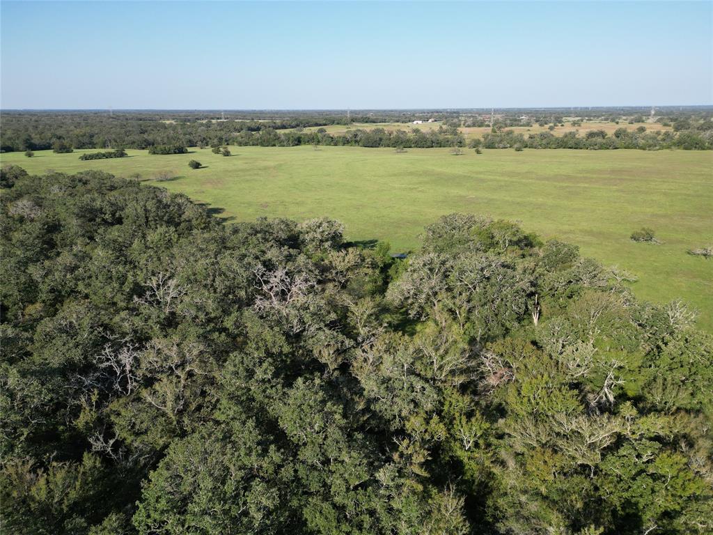 125 Acres County Road 123, Bedias, Texas image 44