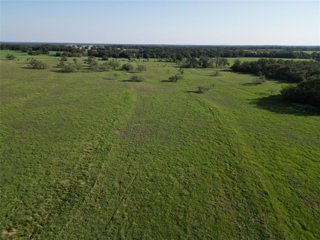 125 Acres County Road 123, Bedias, Texas image 34