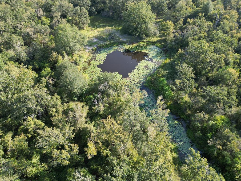 125 Acres County Road 123, Bedias, Texas image 42