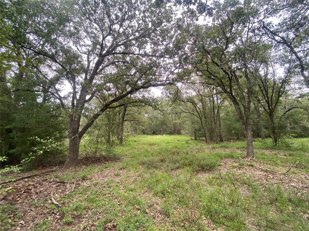 125 Acres County Road 123, Bedias, Texas image 33