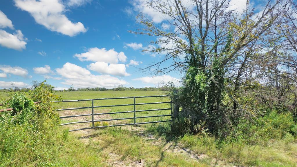 125 Acres County Road 123, Bedias, Texas image 10