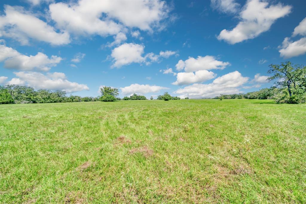 125 Acres County Road 123, Bedias, Texas image 18