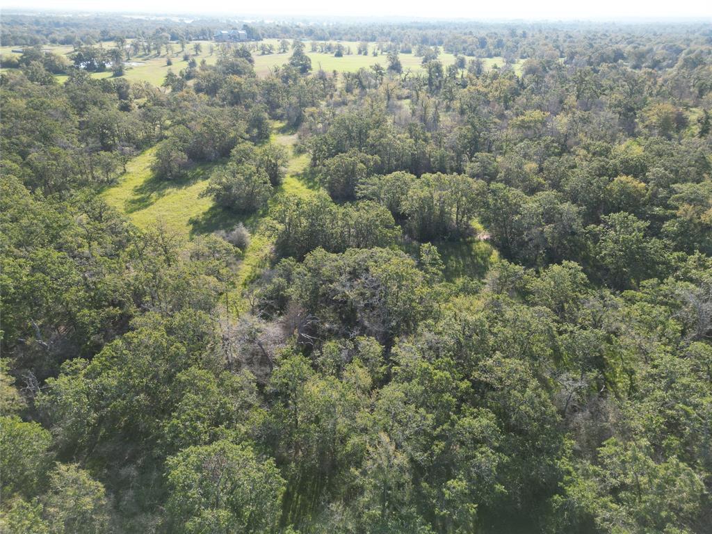 125 Acres County Road 123, Bedias, Texas image 40