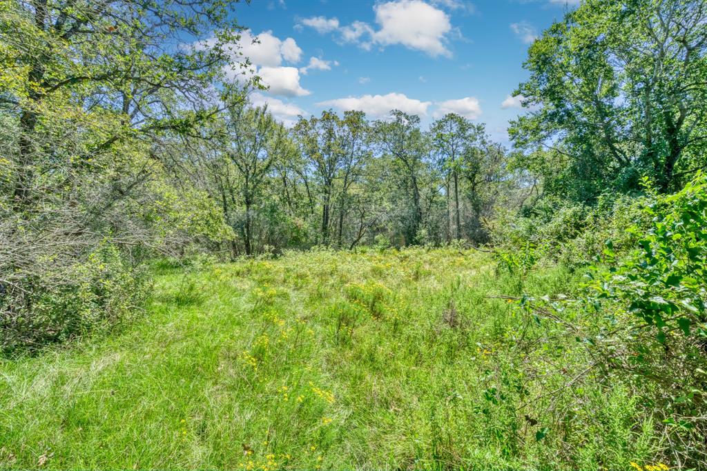 125 Acres County Road 123, Bedias, Texas image 22