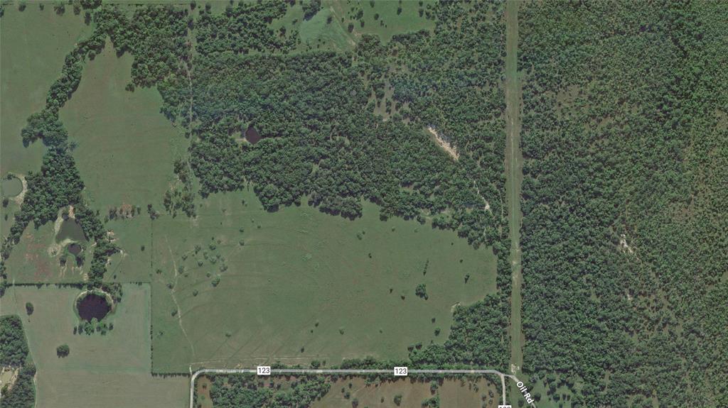 125 Acres County Road 123, Bedias, Texas image 25