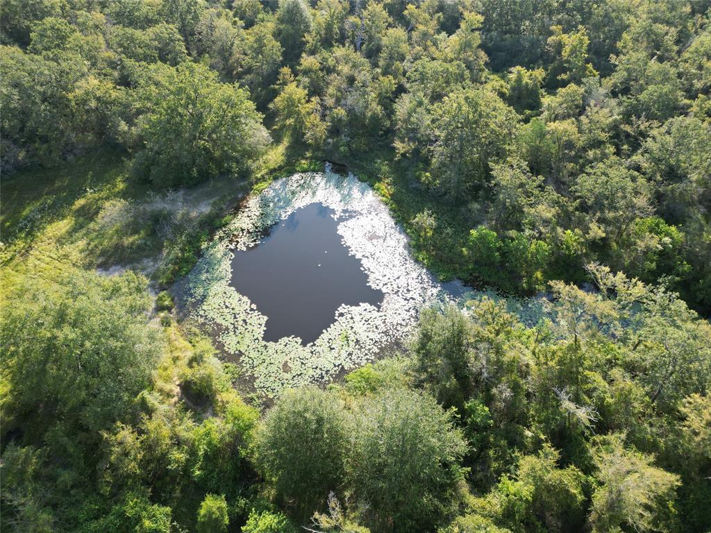 125 Acres County Road 123, Bedias, Texas image 43