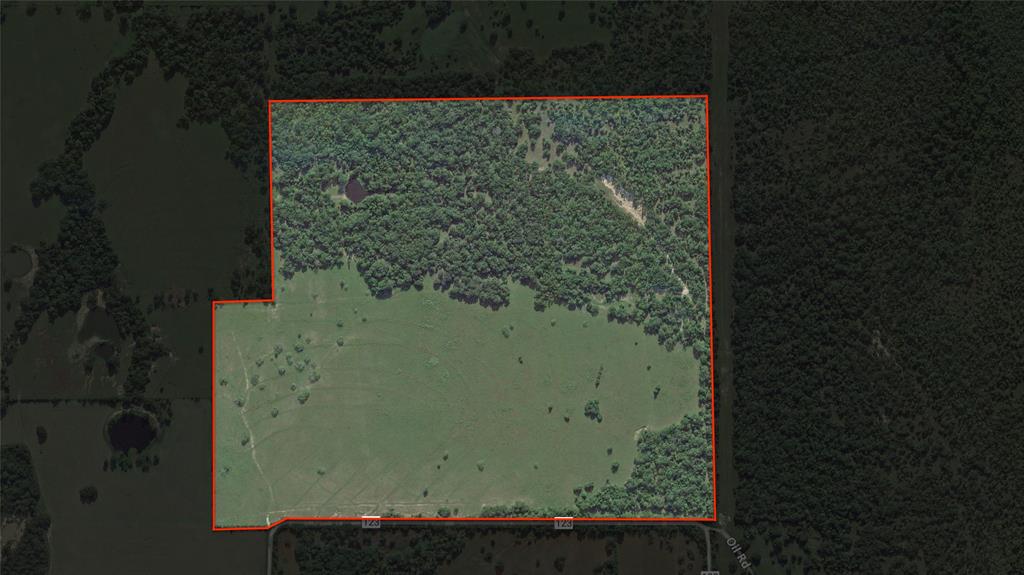 125 Acres County Road 123, Bedias, Texas image 15