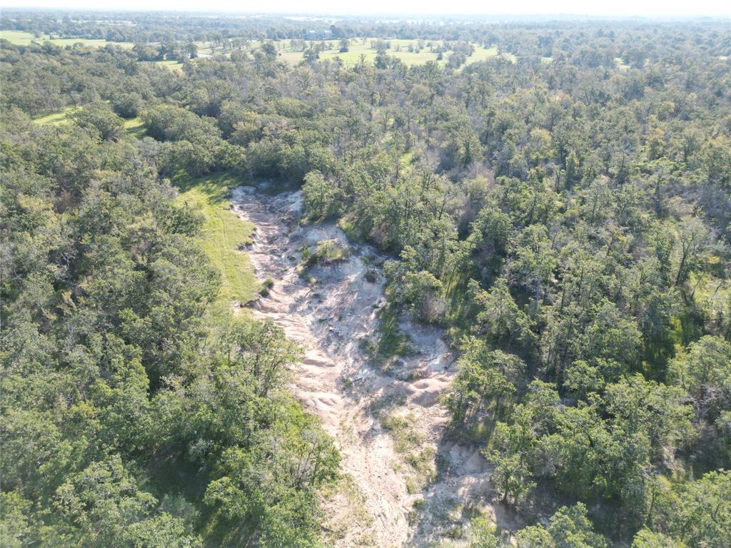 125 Acres County Road 123, Bedias, Texas image 39