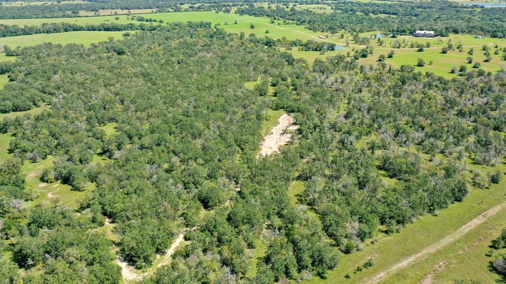 125 Acres County Road 123, Bedias, Texas image 28