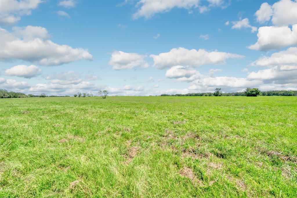 125 Acres County Road 123, Bedias, Texas image 13