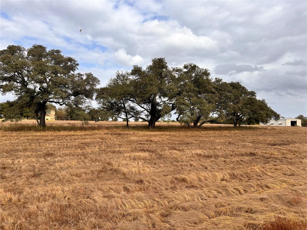 TBD Affleck Rd, Brenham, Texas image 15