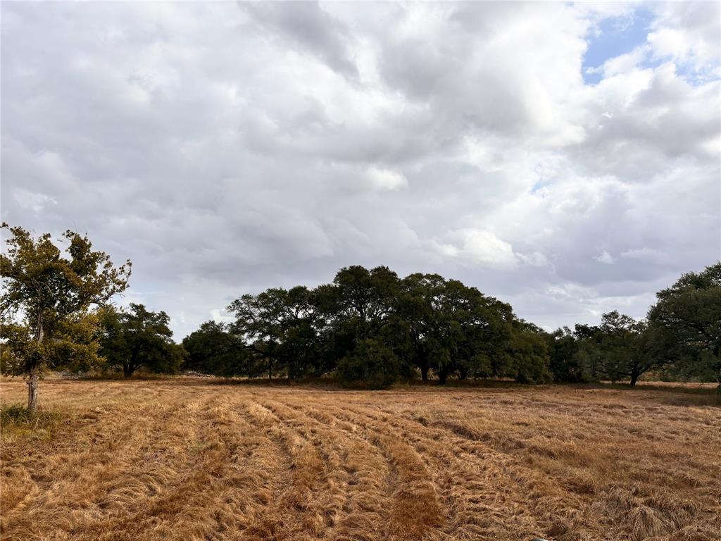 TBD Affleck Rd, Brenham, Texas image 14