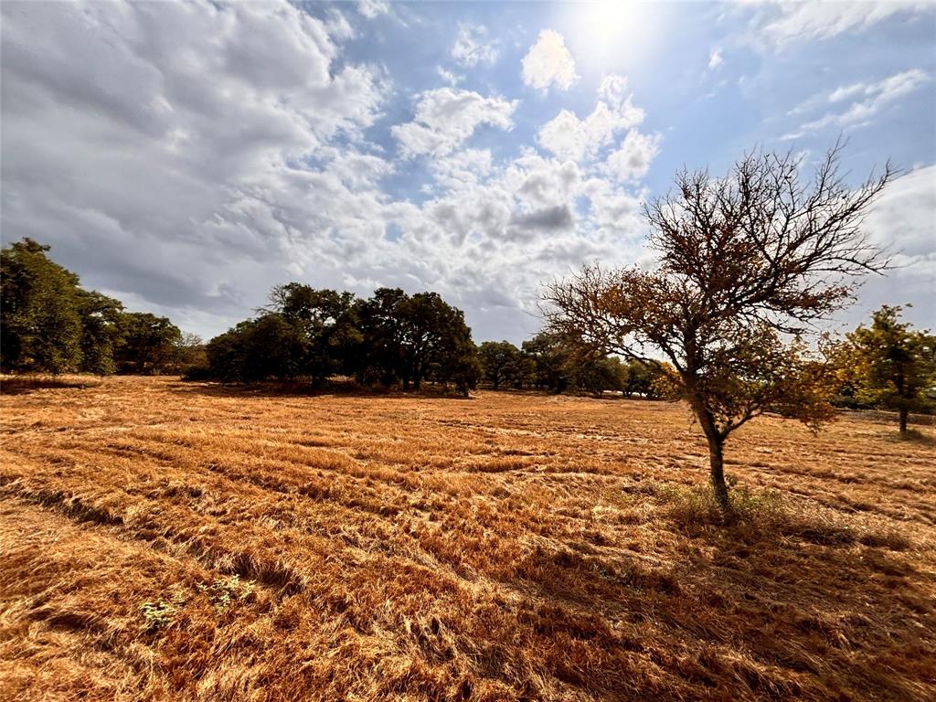 TBD Affleck Rd, Brenham, Texas image 19