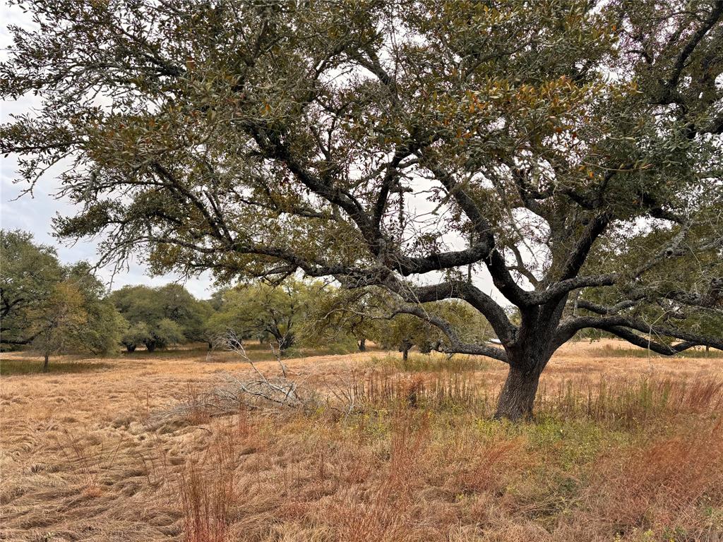 TBD Affleck Rd, Brenham, Texas image 10