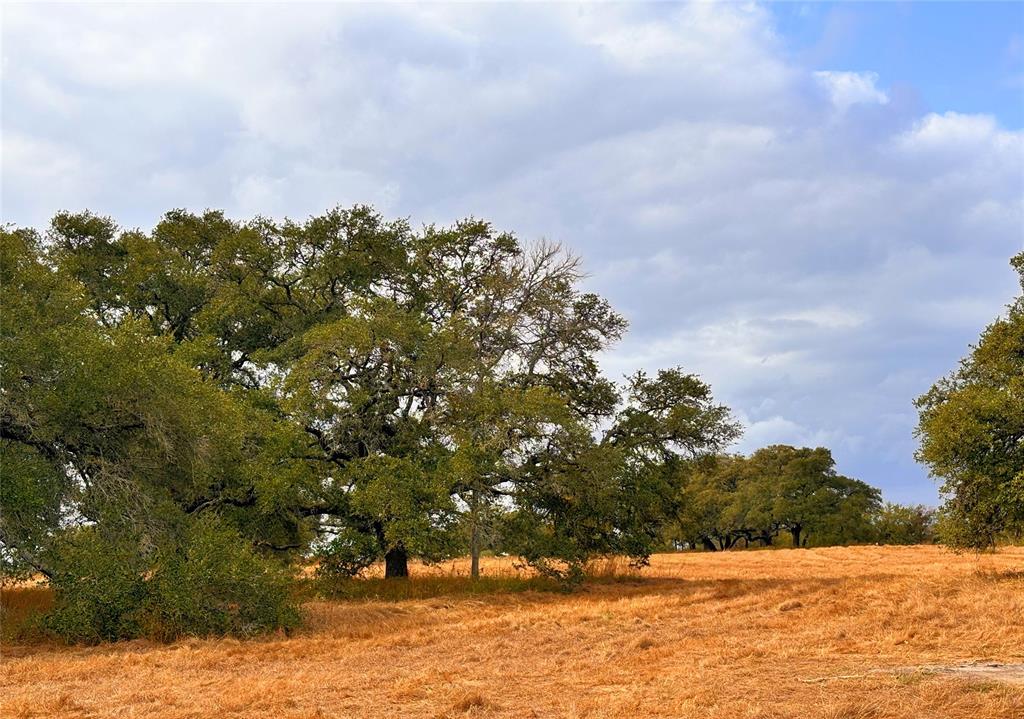 TBD Affleck Rd, Brenham, Texas image 5