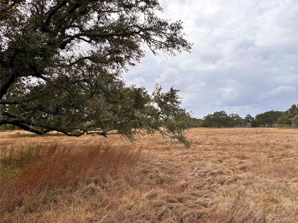 TBD Affleck Rd, Brenham, Texas image 9