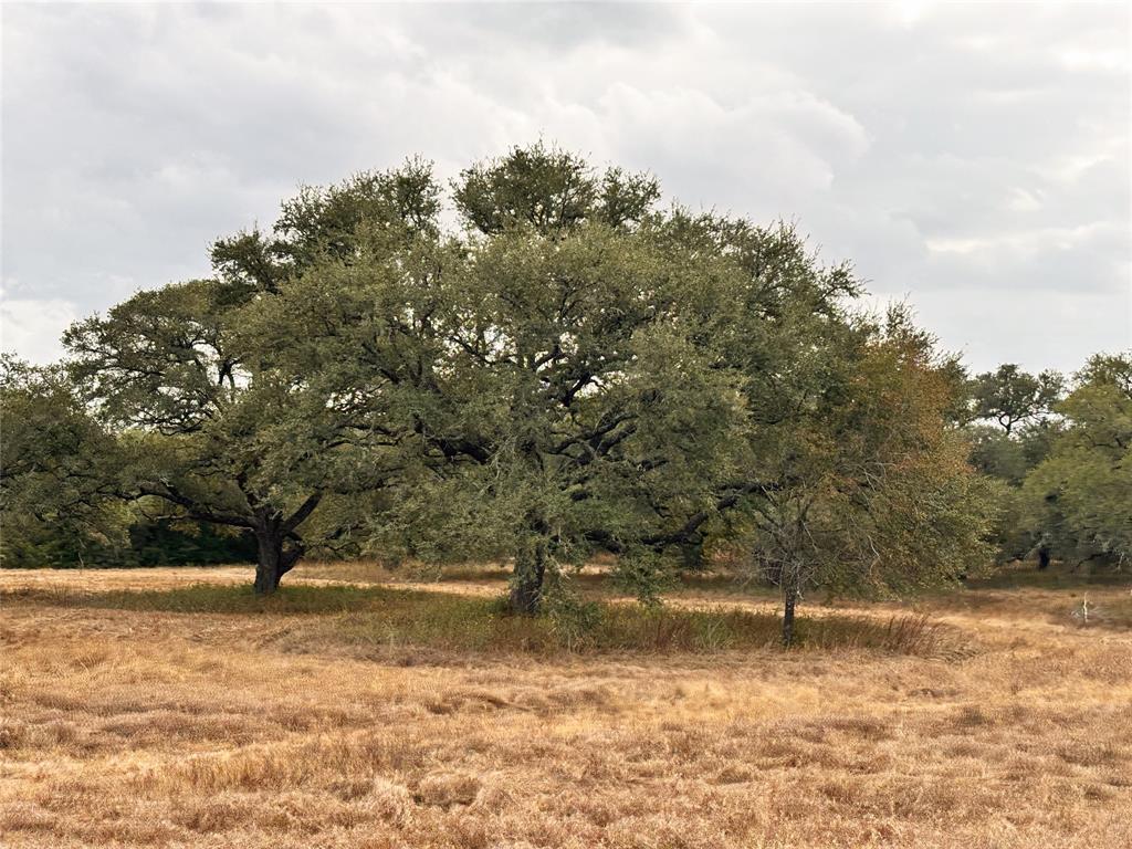 TBD Affleck Rd, Brenham, Texas image 8