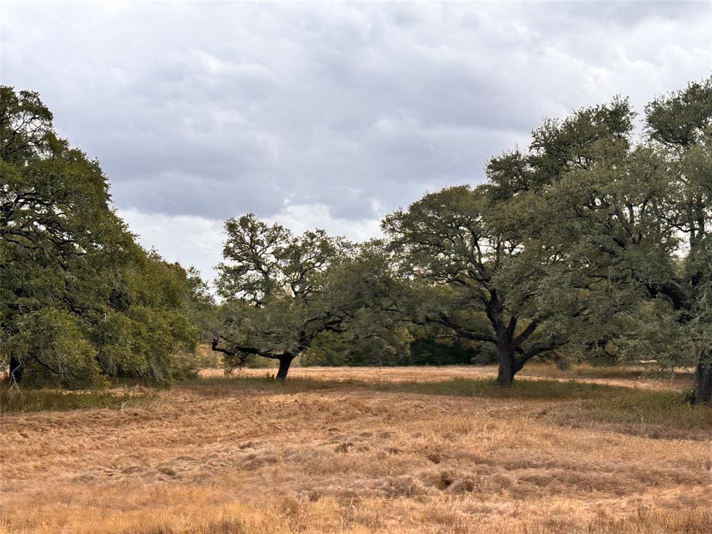 TBD Affleck Rd, Brenham, Texas image 1