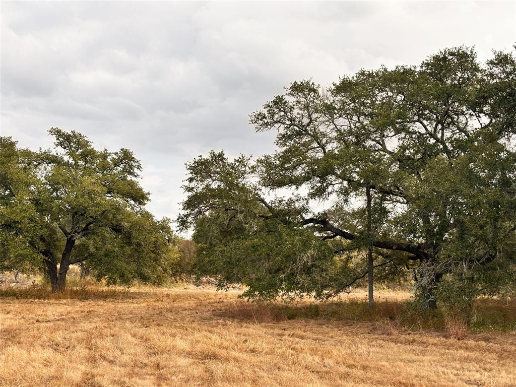 TBD Affleck Rd, Brenham, Texas image 7