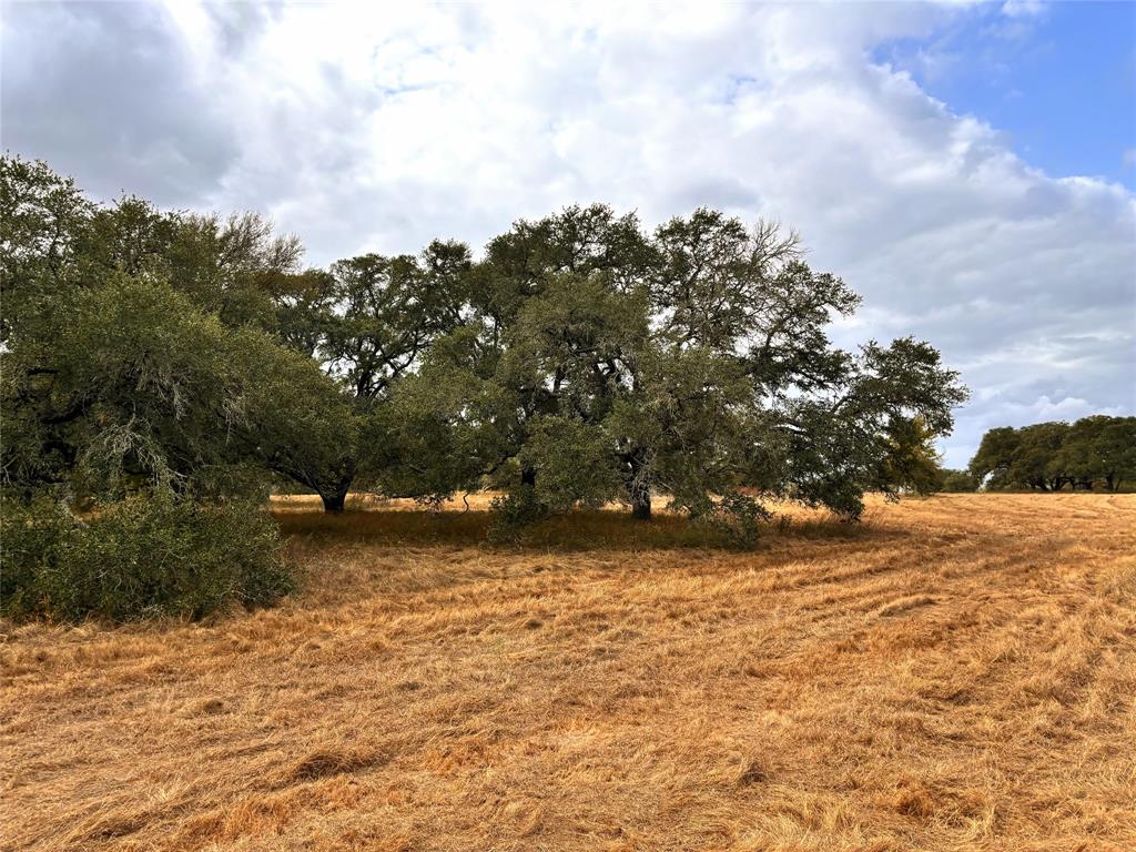 TBD Affleck Rd, Brenham, Texas image 6