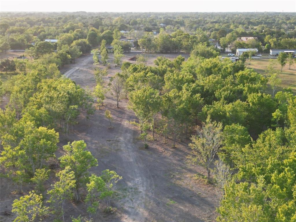 2631 County Road 159, Alvin, Texas image 11