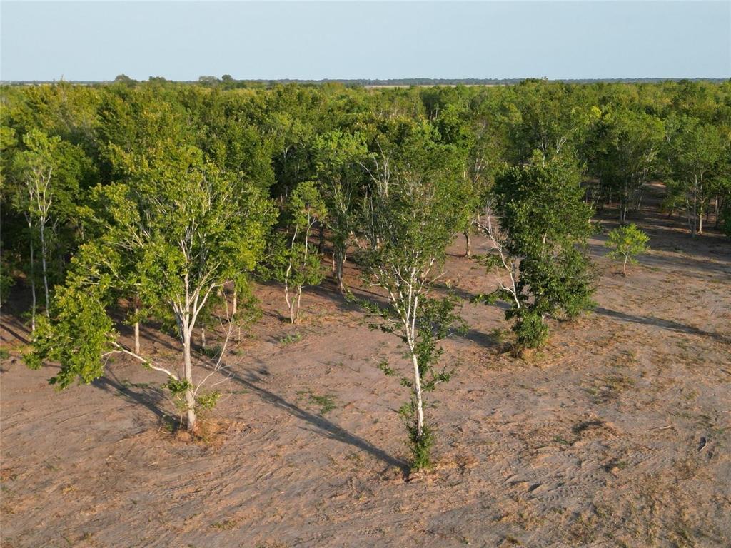 2631 County Road 159, Alvin, Texas image 9