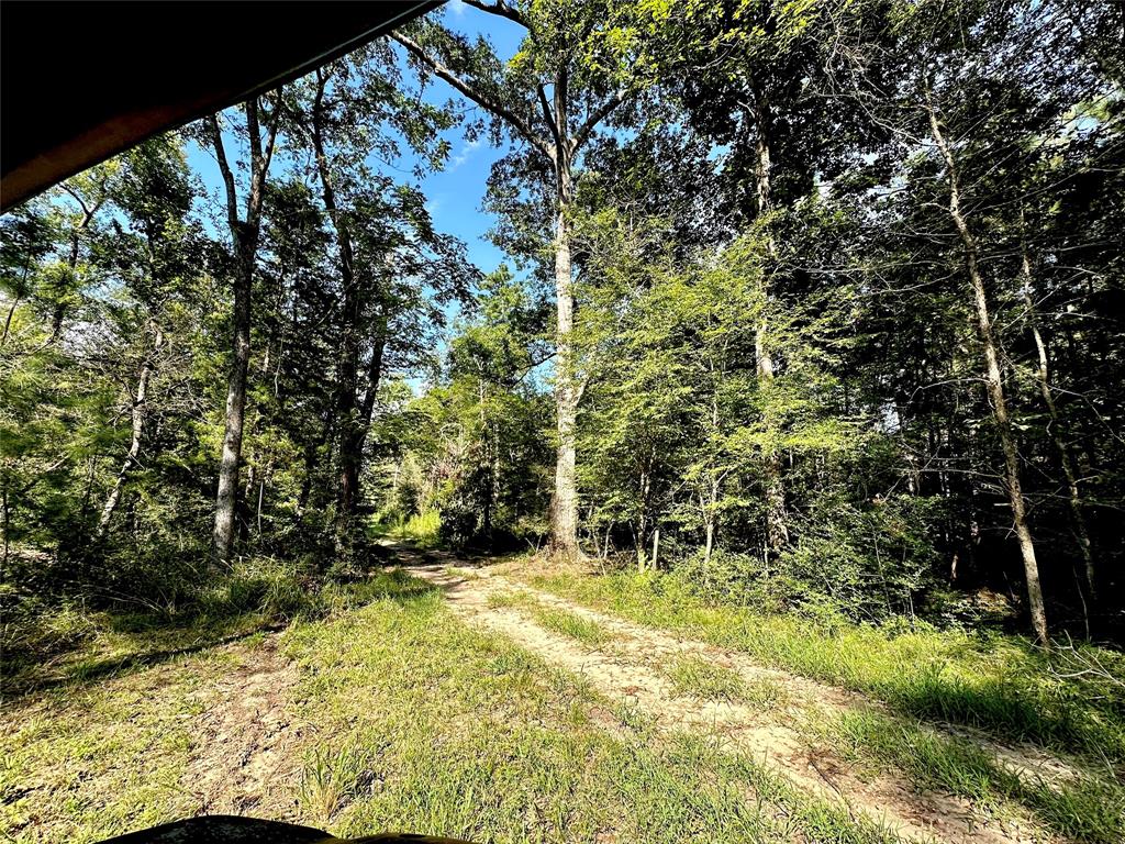3247 Old Berring Rd