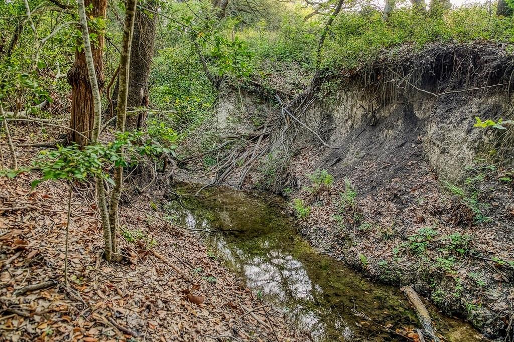 6.67 Acres Fm 390, Brenham, Texas image 3