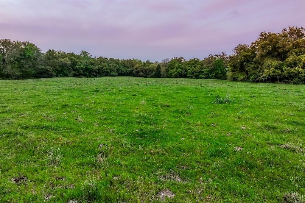 6.67 Acres Fm 390, Brenham, Texas image 18