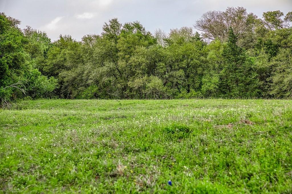 6.67 Acres Fm 390, Brenham, Texas image 24