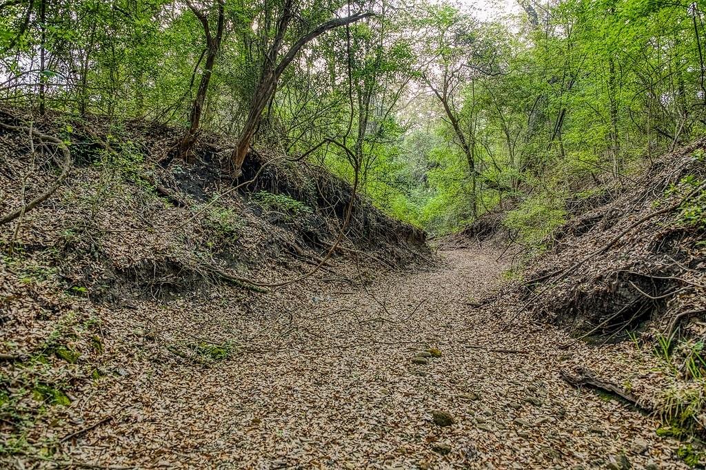 6.67 Acres Fm 390, Brenham, Texas image 16
