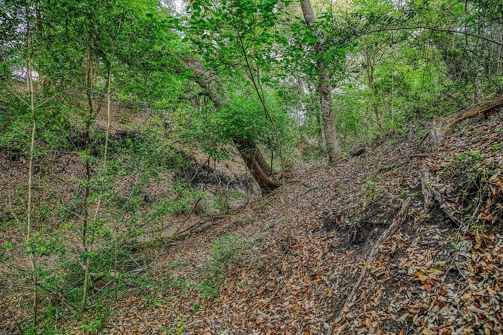 6.67 Acres Fm 390, Brenham, Texas image 14