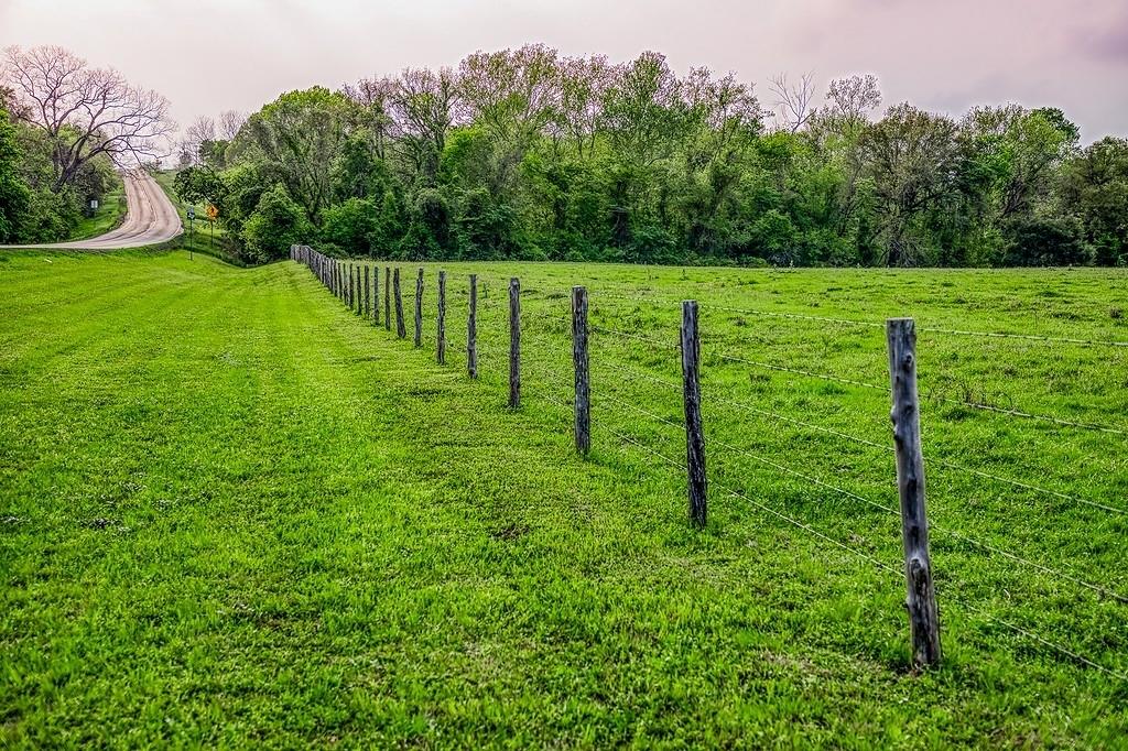 6.67 Acres Fm 390, Brenham, Texas image 12