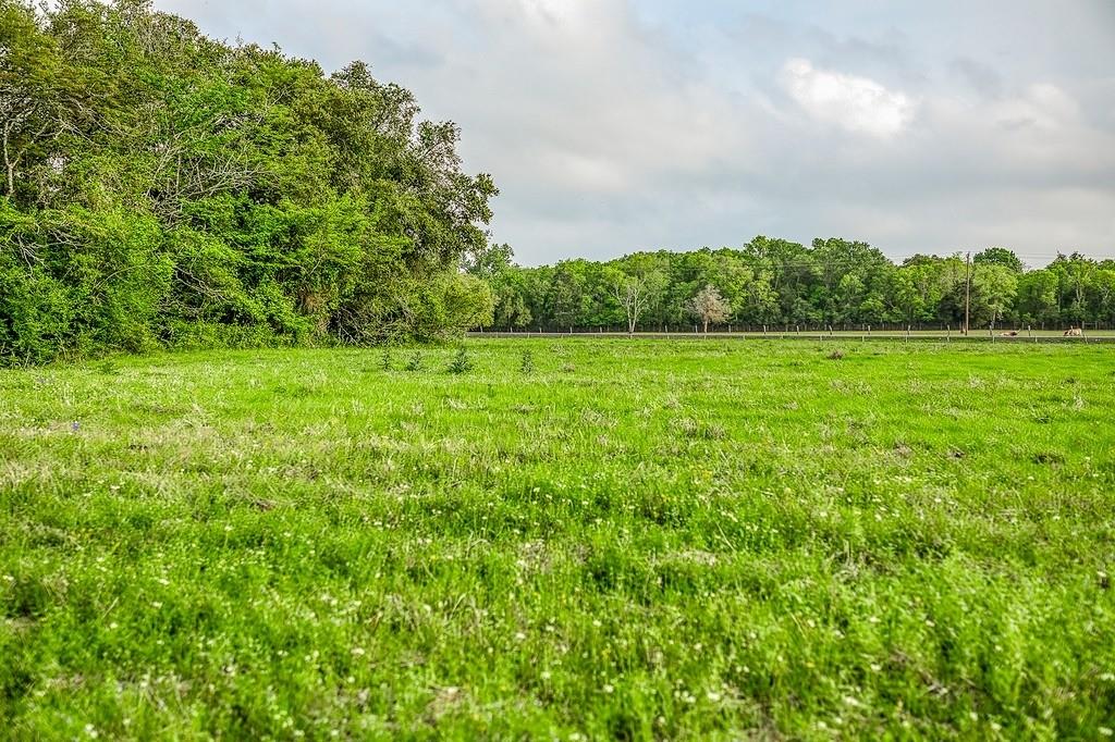 6.67 Acres Fm 390, Brenham, Texas image 25