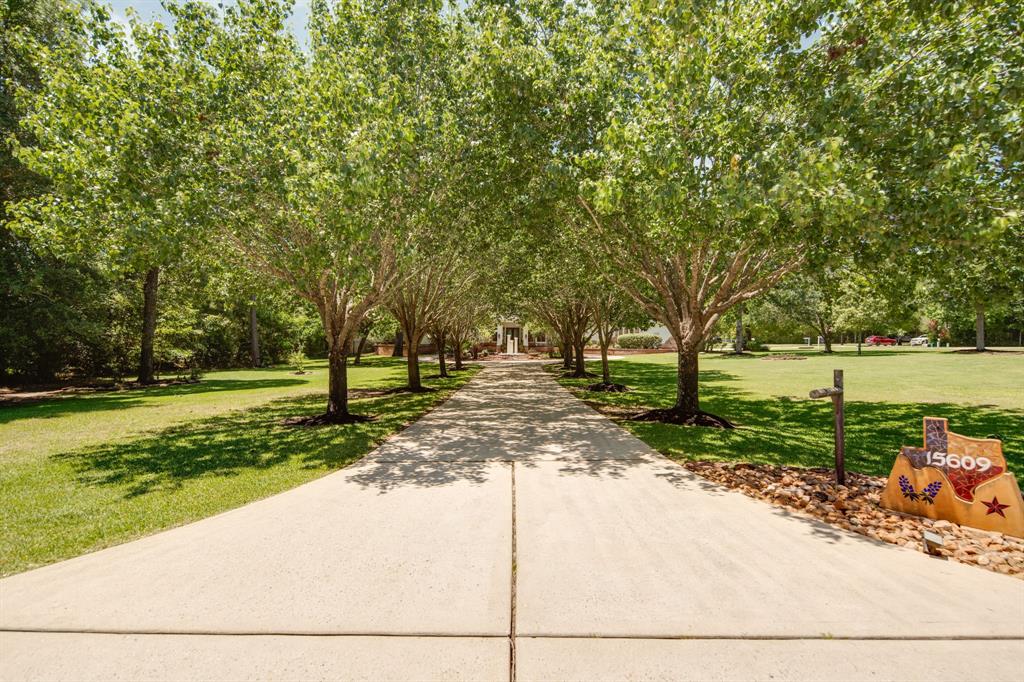15609 Crown Oaks Drive, Montgomery, Texas image 5