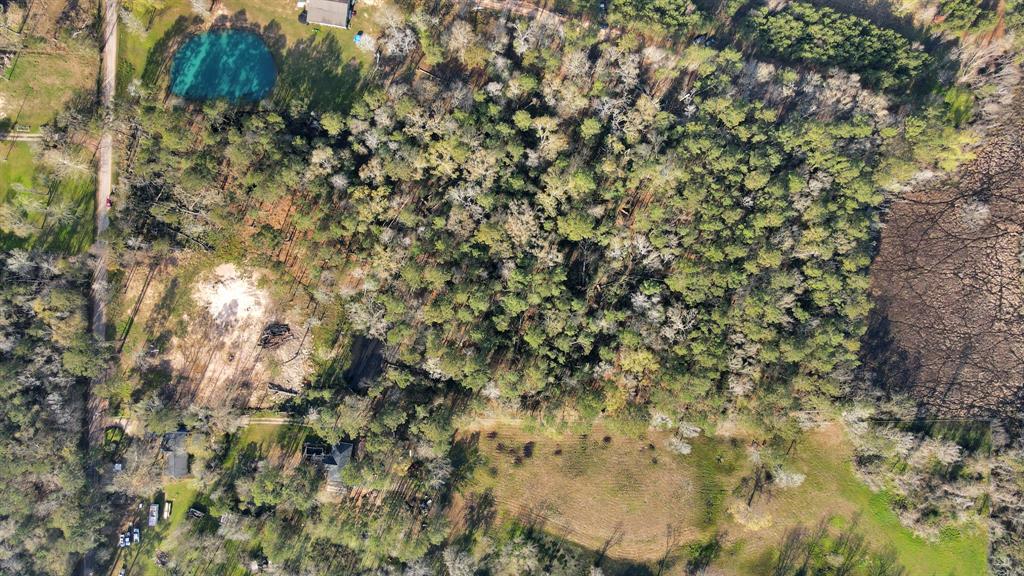 16915 Payne Road, Conroe, Texas image 21