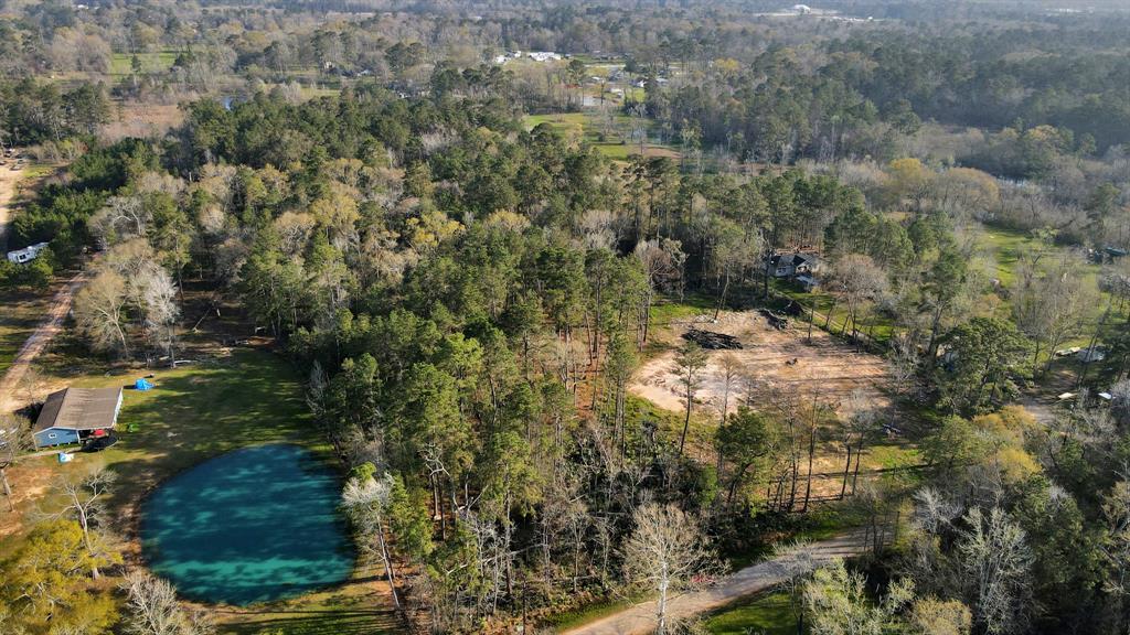 16915 Payne Road, Conroe, Texas image 12
