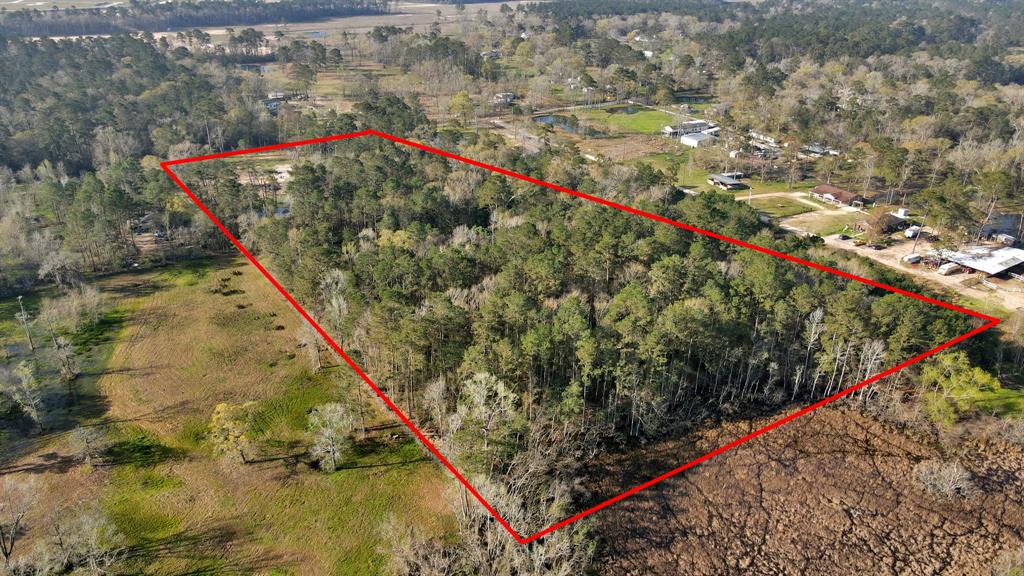 16915 Payne Road, Conroe, Texas image 25