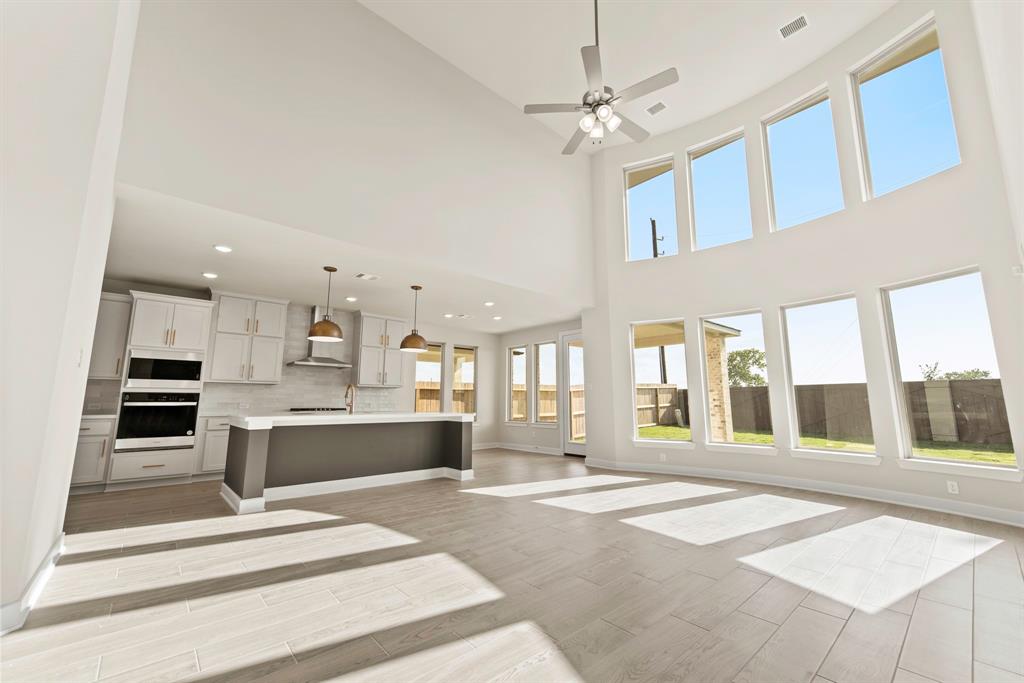 25223 Aster Hills Lane, Katy, Texas image 3