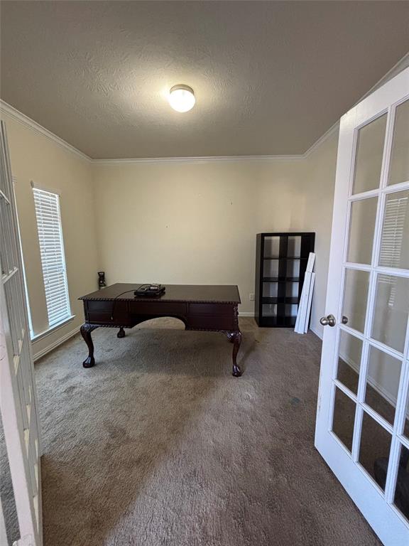 21531 Indigo Ruth Drive, Spring, Texas image 4