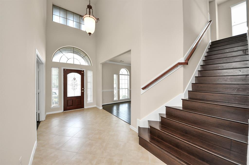 3009 Southern Chase Drive, Pearland, Texas image 16