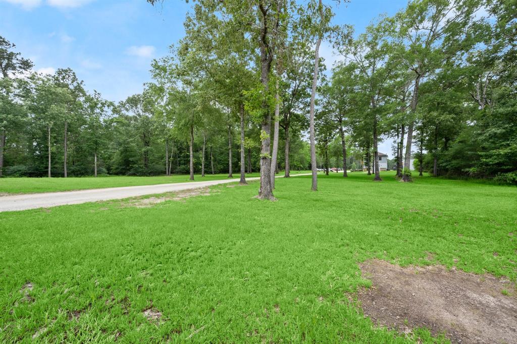 1868 S Fm 1988, Livingston, Texas image 34