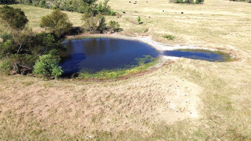 TBD Ashworth Lane, Pennington, Texas image 13