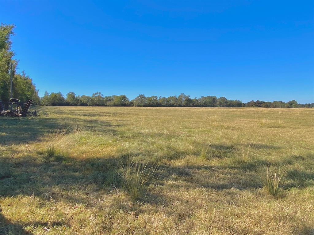 TBD Ashworth Lane, Pennington, Texas image 20
