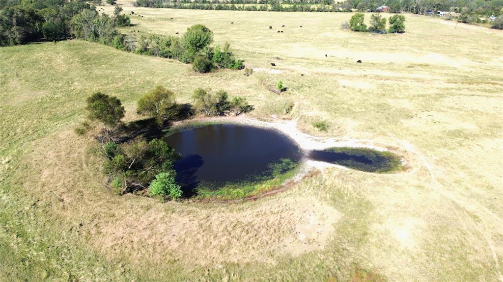 TBD Ashworth Lane, Pennington, Texas image 12