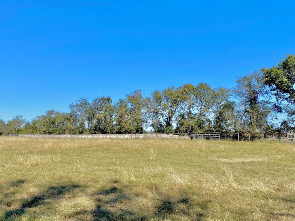 TBD Ashworth Lane, Pennington, Texas image 22