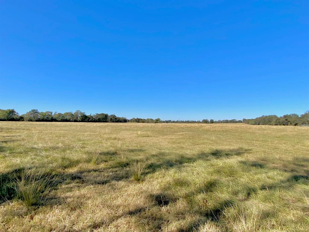 TBD Ashworth Lane, Pennington, Texas image 19