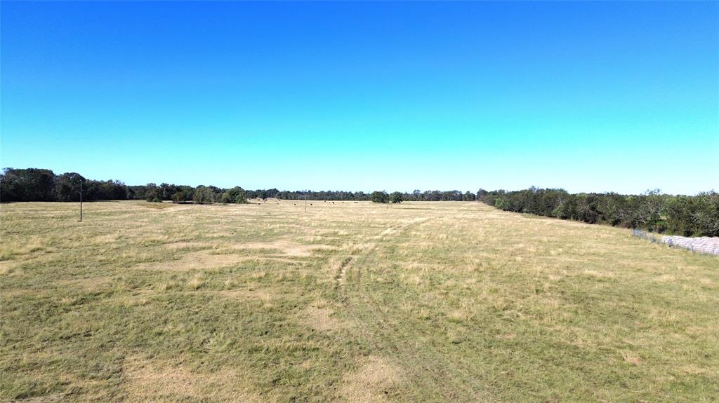 TBD Ashworth Lane, Pennington, Texas image 26