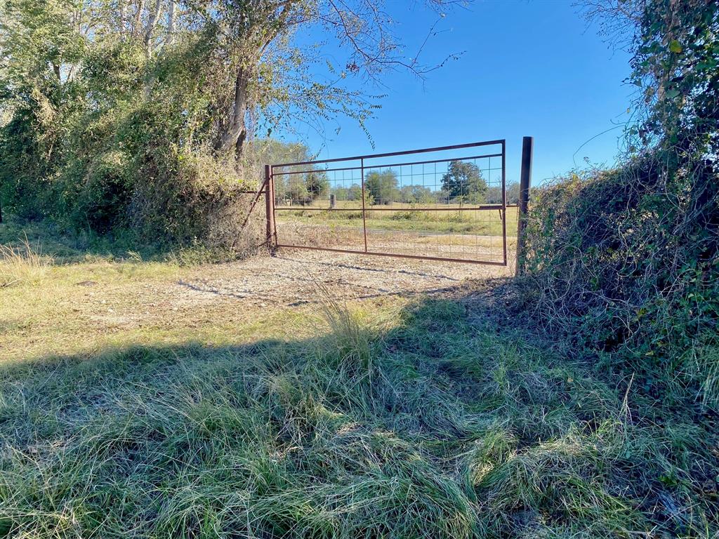 TBD Ashworth Lane, Pennington, Texas image 7