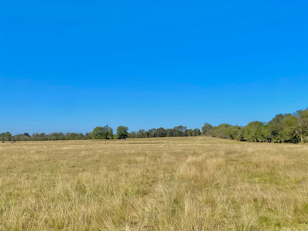 TBD Ashworth Lane, Pennington, Texas image 25